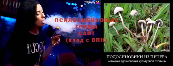 apvp Алексин