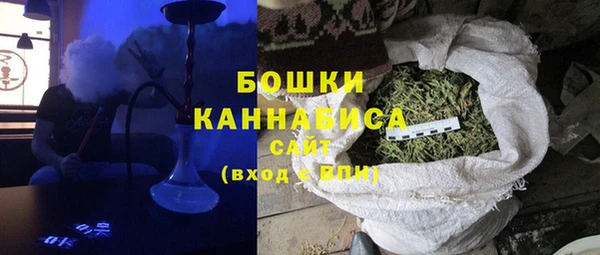 PSILOCYBIN Пестово