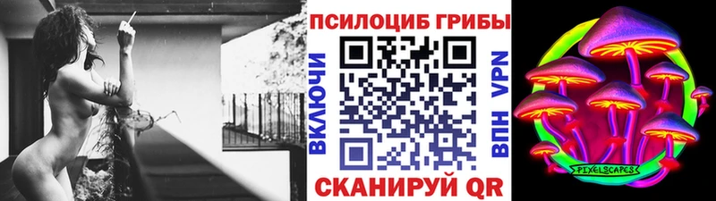 купить закладку  Олонец  Галлюциногенные грибы мицелий 